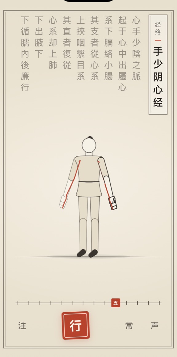 手少阴心经的线描演示