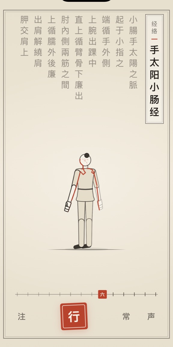 手太阳小肠经的线描演示