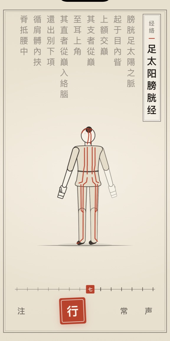 足太阳膀胱经的线描演示