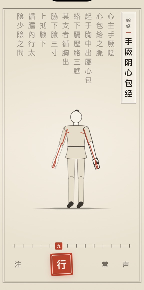 手厥阴心包经的线描演示