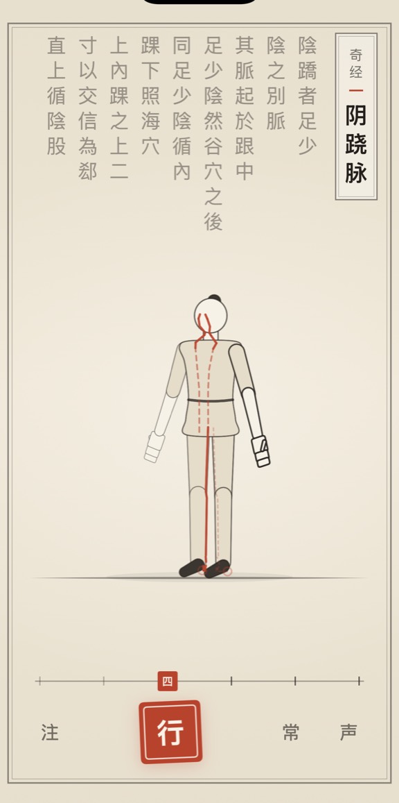 阴跷脉的线描演示